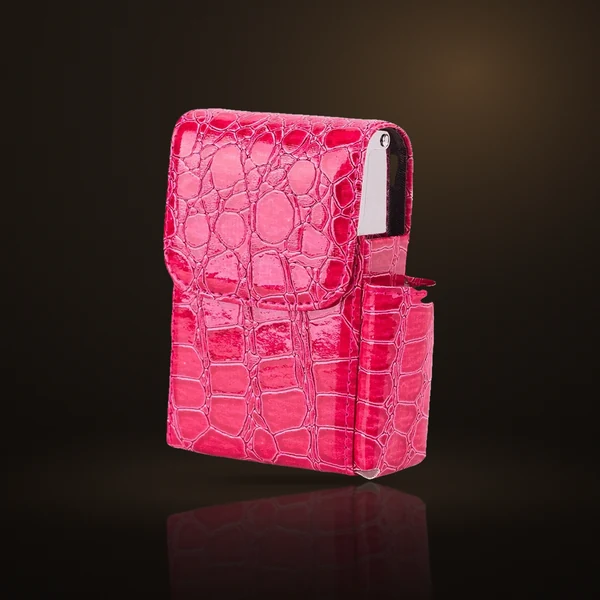 Duo Case — view 6